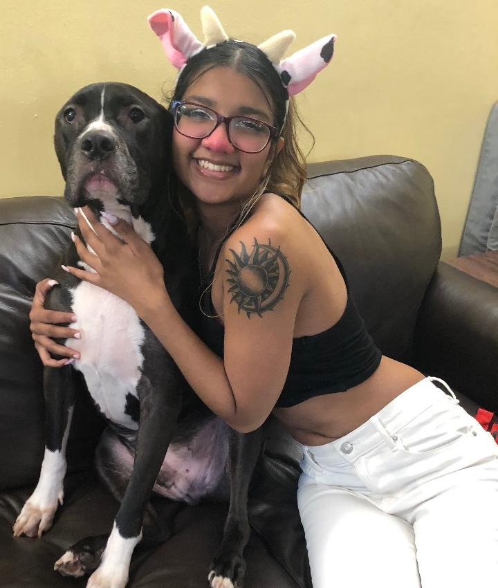 Veterinarians in Lynbrook Lynbrook NY Veterinarians